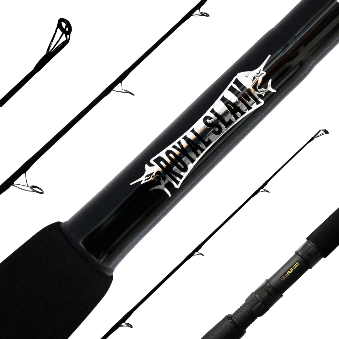 ROYAL SLAM LIVE BAIT